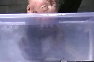 Tuổi tác không phải là trở ngại cho sự ổn định gai sex nhat ban của dương vật.