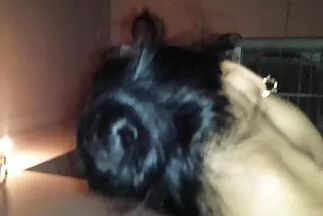 Những cô gái tốt nhất phim sex gái đẹp nhật bản trong thành phố chịch trong căn phòng này.