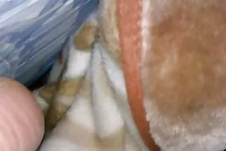 Sự kết hợp thành thạo giữa phim sex gái đẹp nhật bản giới tính và thể thao.