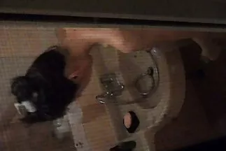 Vào thứ sáu, kẻ đồi bại phim sex gai nhat ban hậu môn thức dậy.