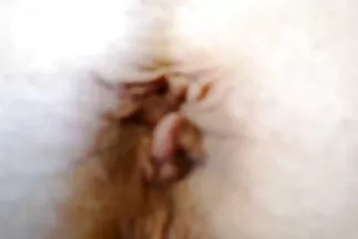 Một diễn viên và hậu môn khác đã sẵn sàng cho màn xnxx gai nhat ban ảnh rộng.